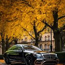 ���� Zarifjon, ������, 33 ���� - ��������� 7 ������� 2025