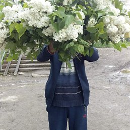 ���� ������, ������, 62 ���� - ��������� 28 ����� 2024