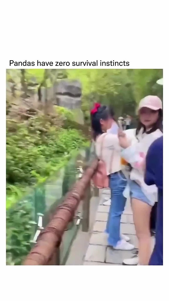 ����� ����� ��� � �����, ��������!