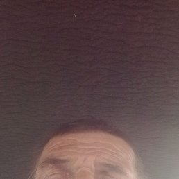 , 53 , 
