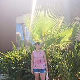 , 44, -