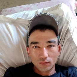 , 33, 