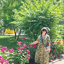  , --, 46  -  20  2025    