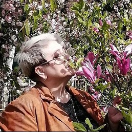 �����, ����������, 57 ���