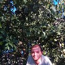 ���� �������, ���������, 37 ��� - ��������� 20 ����� 2026