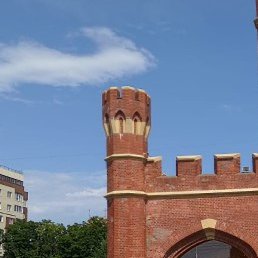 �������, �������, 55 ���