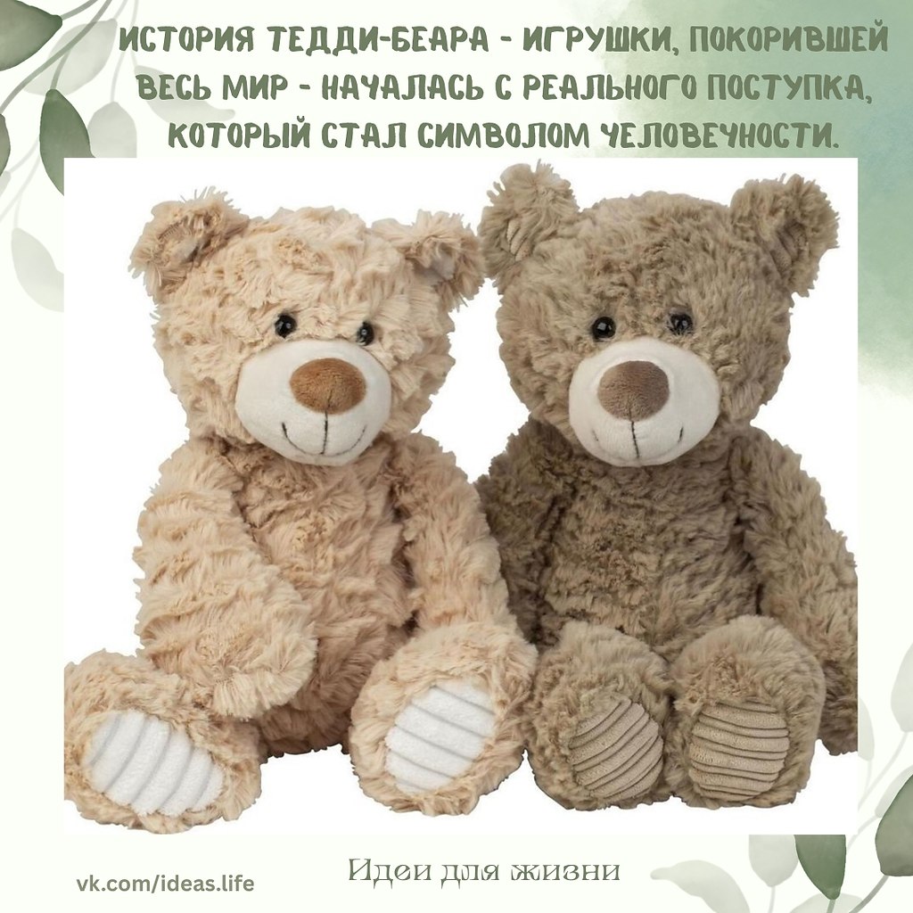 В 1902 году президент США Теодор Рузвельт отправился на охоту в штат Миссисипи. Один из ...