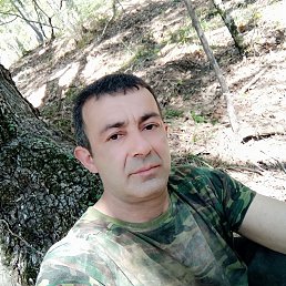 , 29 , 