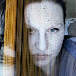 �������, ���������, 41 ���