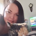 ���� ����, ����, 49 ��� - ��������� 5 ��� 2026 � ������ ���� ����������