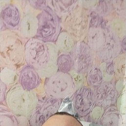 ���� ��������, 35 ���, ������