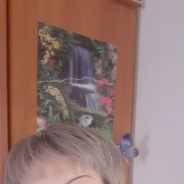 , 55, 