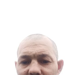 , 41, 