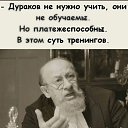  , , 51  -  6  2024    