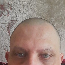 ���� ����, ������, 43 ���� - ��������� 26 ������ 2026