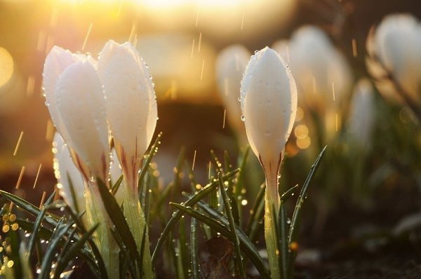 ��� ���� � ���������. ��� ���������� �����.