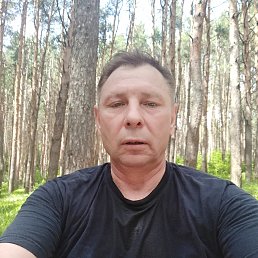 , 53 , -
