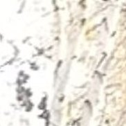 , 42 , 