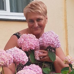 , 47, 