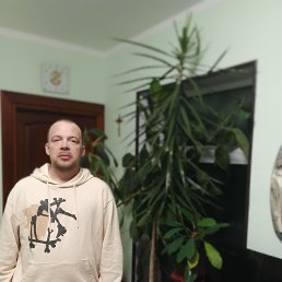 �������, 33 ����, ������������