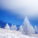 ���� B�a�, ������� - ��������� 2 ������� 2024 � ������ ������ ��������