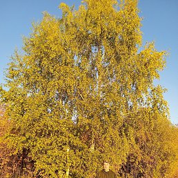 , , 42  -  27  2025