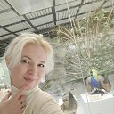 ���� ����� ***, ������ - ��������� 8 ������ 2025 � ������ �������, 01-07.11.2025 �