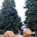 ���� �������, ��������, 41 ��� - ��������� 20 ������ 2025 � ������ ���� ����������