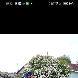 , , 63 