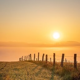 �������, ������ ��������, 20 ���