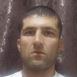 �����, �����-���������, 36 ���