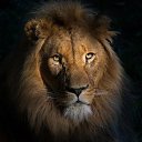 ���� ������, �������, 71 ��� - ��������� 18 ������� 2025 � ������ ���� ����������