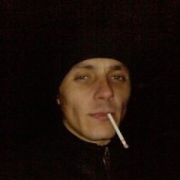 , 37, 
