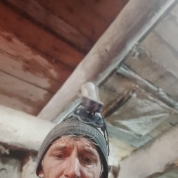 , 37, 