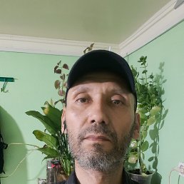 , 46, 