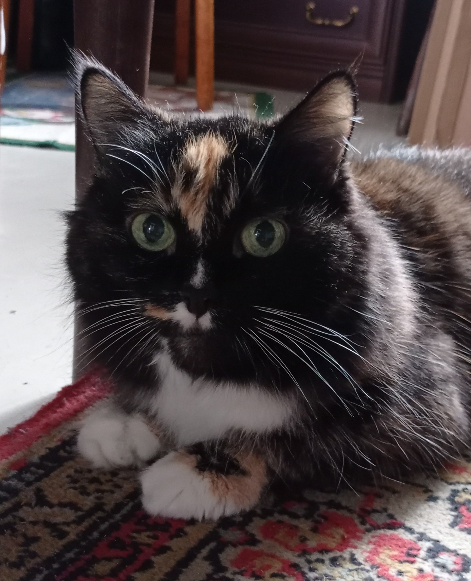   -   Ok Ru - 13  2025  06:02