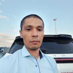 , 41 , -