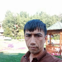 , 36, 