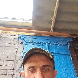 , 37 , 
