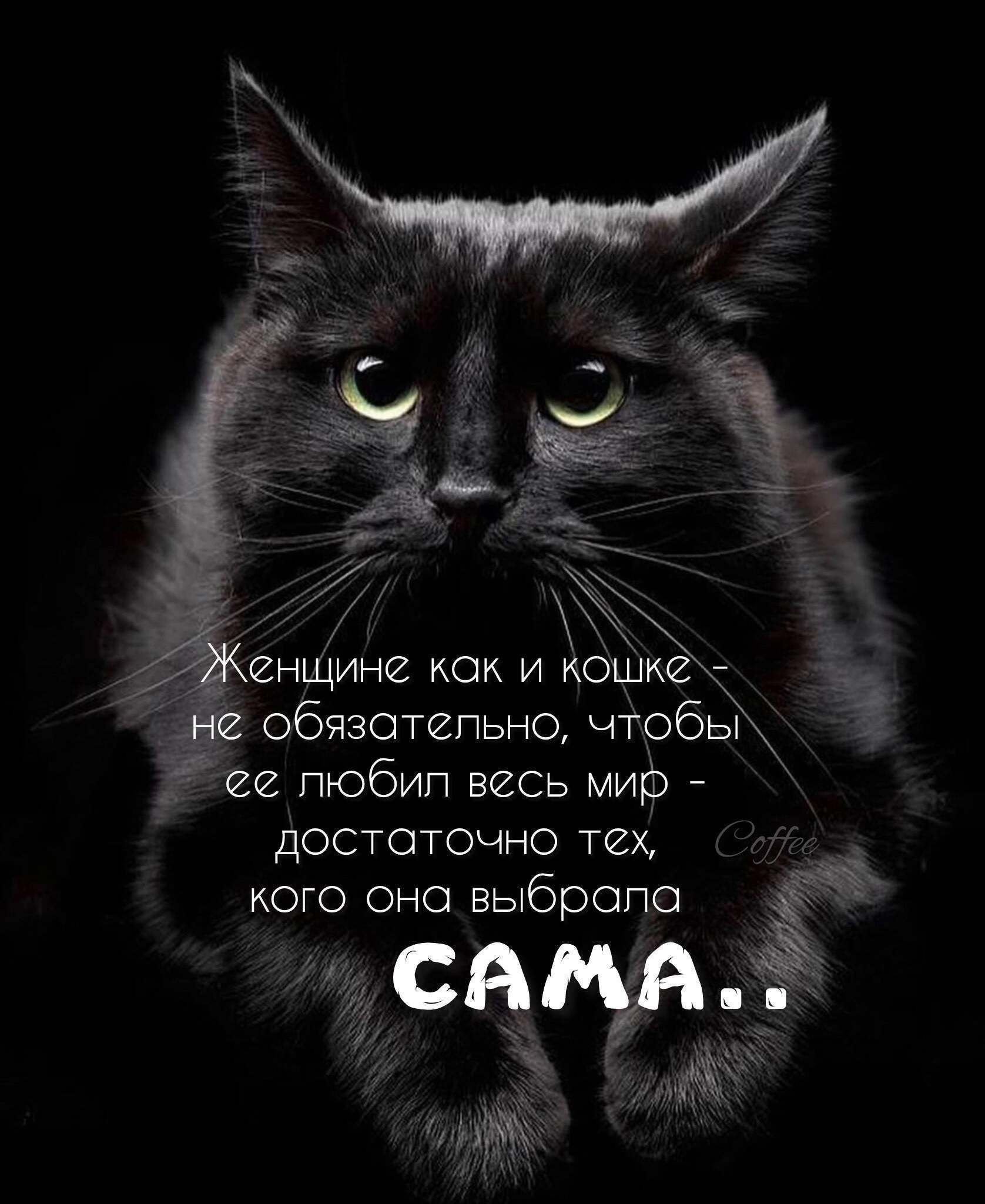 ***Victoria Viktorovna*** - 14  2024  04:13