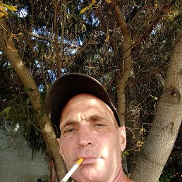, 45, 