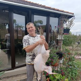 , 57, 