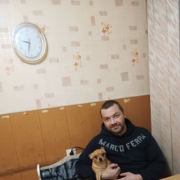 ����, �����-���������, 44 ����