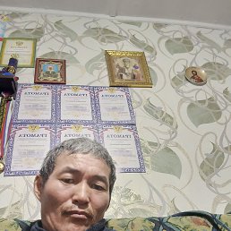 ����, 41 ���, ��������