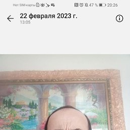 , 63, 