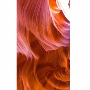 ������, 42 ����, ������