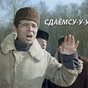 ���� �������, ���������, 41 ��� - ��������� 16 ���� 2025 � ������ ���� ����������