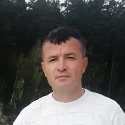 ��������, �����, 44 ����