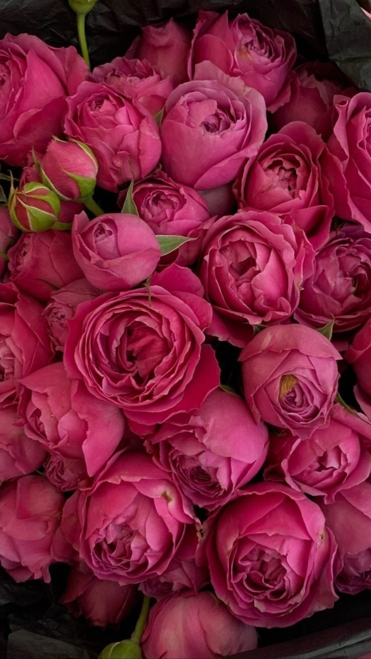  - 6  2023  23:17 - 5