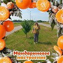 ���� �����, ��������� - ��������� 26 ������� 2024 � ������ ���� ����������